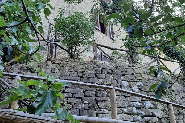 Casa indipendente in vendita Tosi (Reggello)